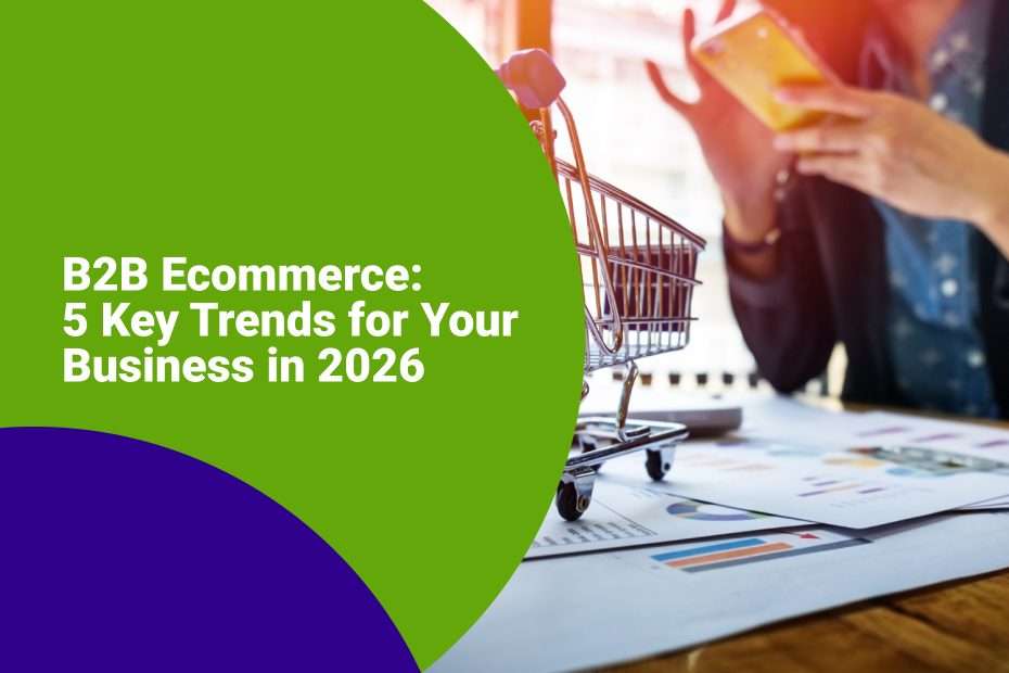 ecommerce b2b